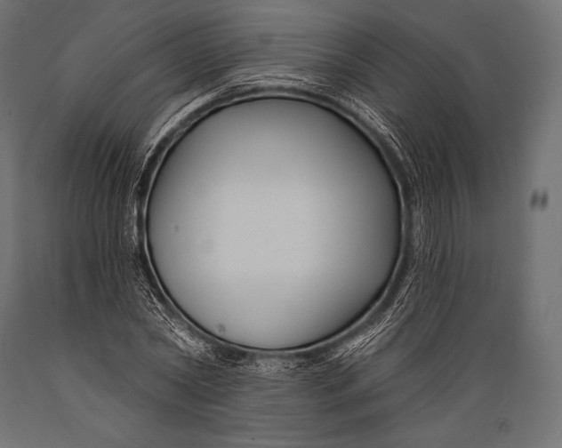 X0000088880782200706291602