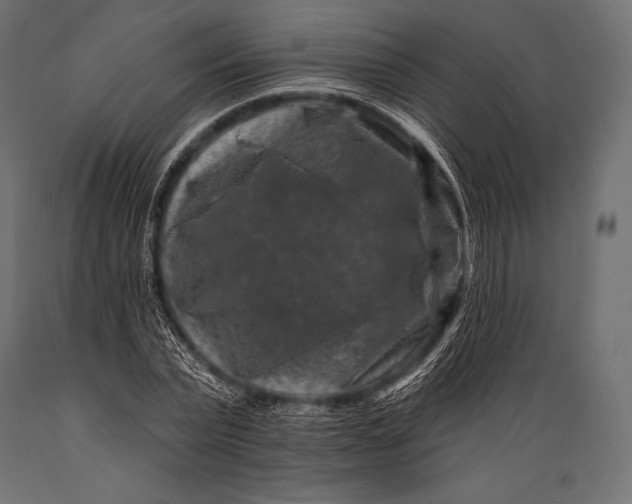 X0000088880783200706291602