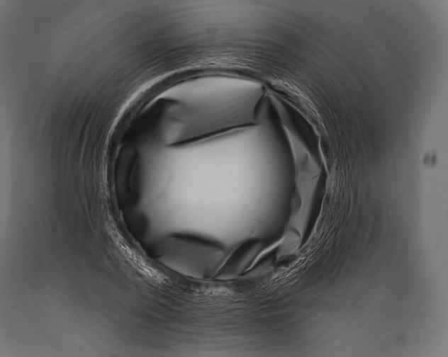 X0000088880784200706291602