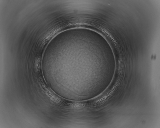 X0000088880785200706291602