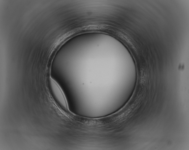 X0000088880786200706291602