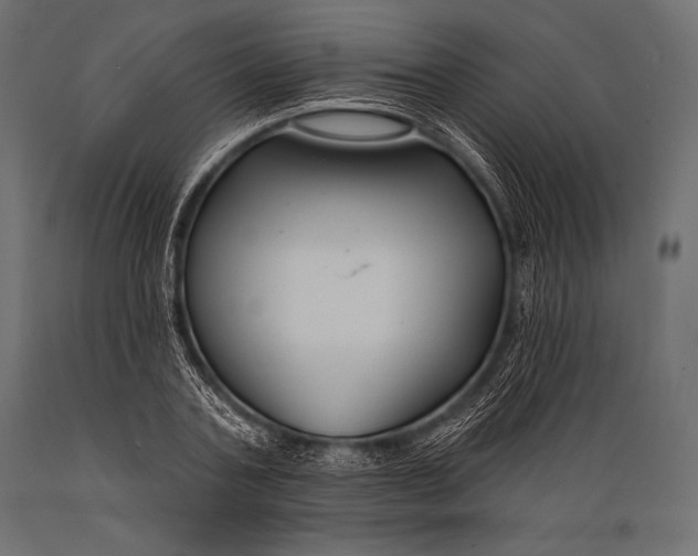 X0000088880787200706291602