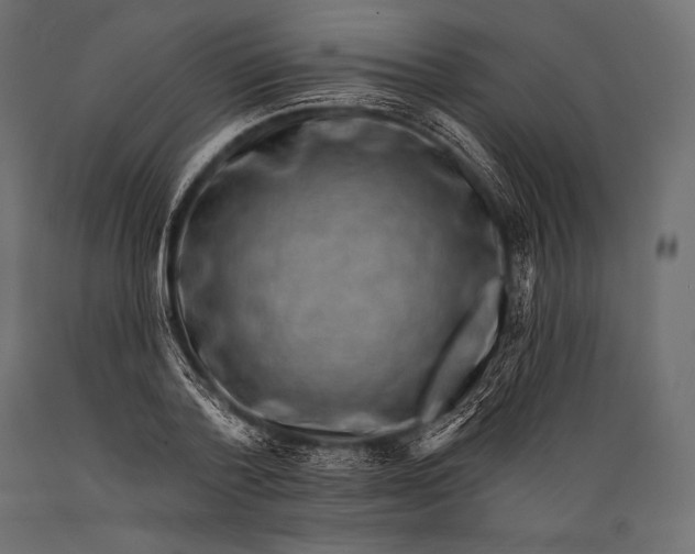 X0000088880788200706291602