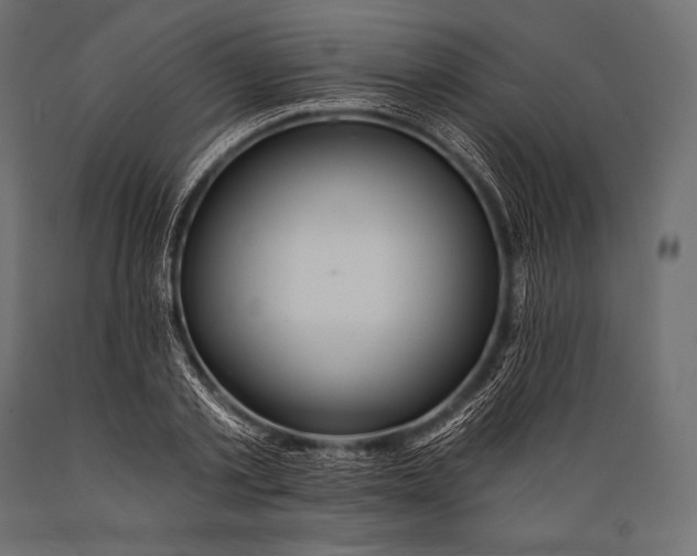 X0000088880789200706291602