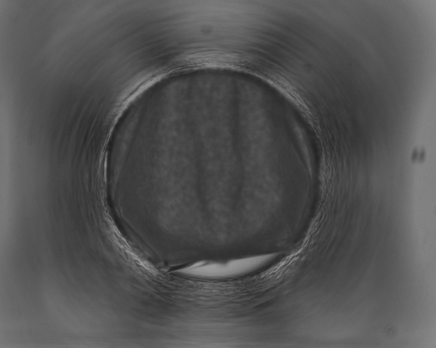 X0000088880790200706291602