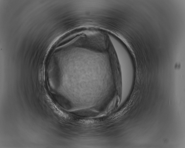 X0000088880791200706291602