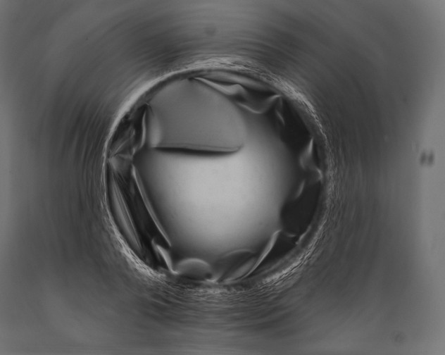 X0000088880792200706291602