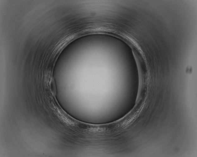 X0000088880793200706291602