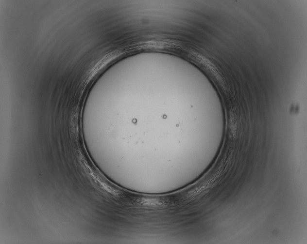 X0000088880794200706291602