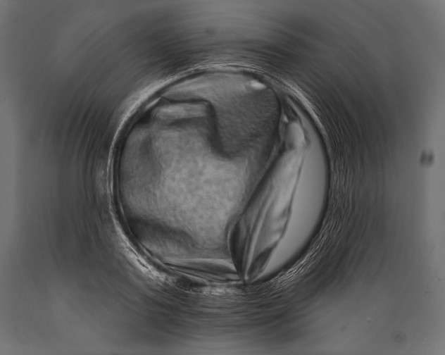 X0000088880795200706291602