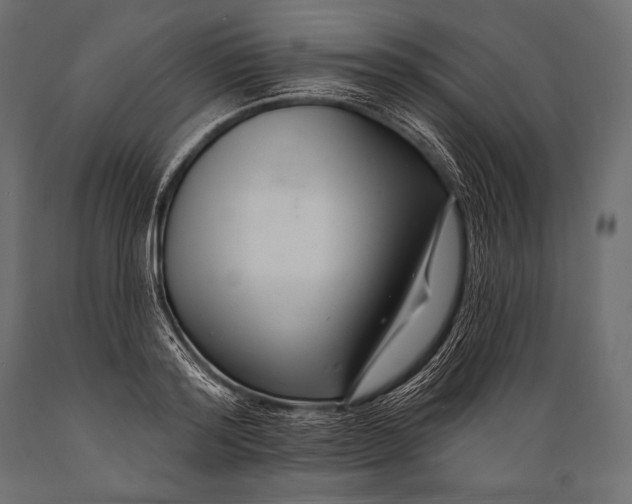 X0000088880796200706291602