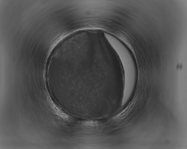 X0000088880797200706291602