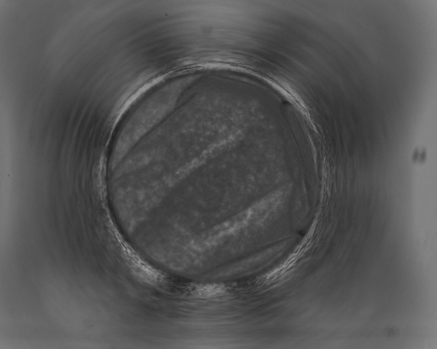 X0000088880798200706291602