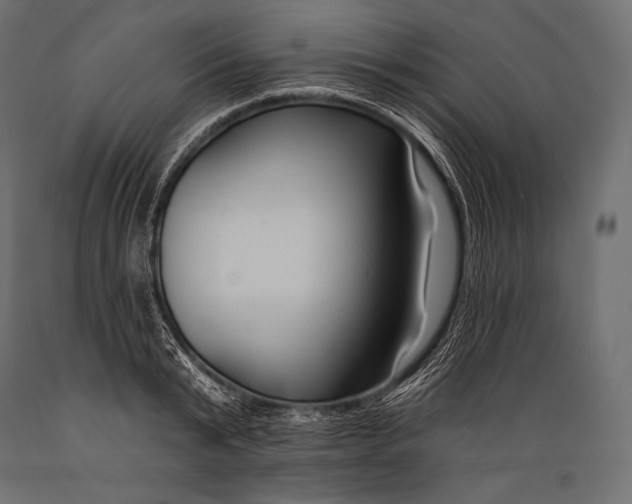 X0000088880799200706291602