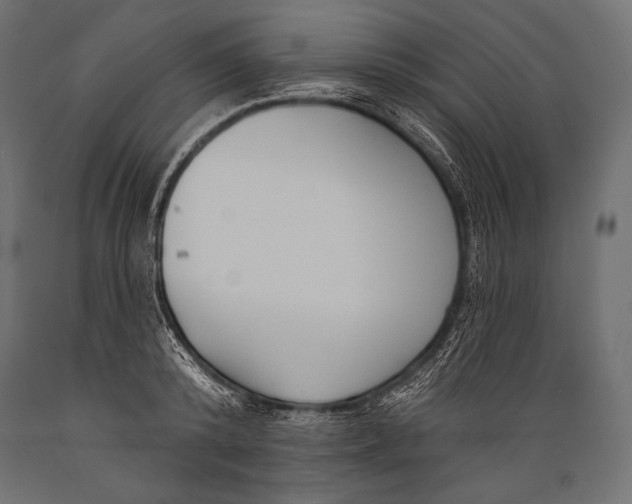 X0000088880800200706291602