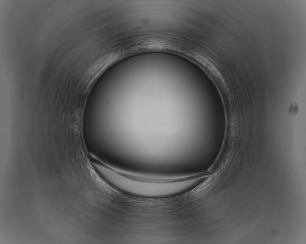 X0000088880801200706291602