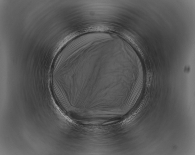 X0000088880802200706291602