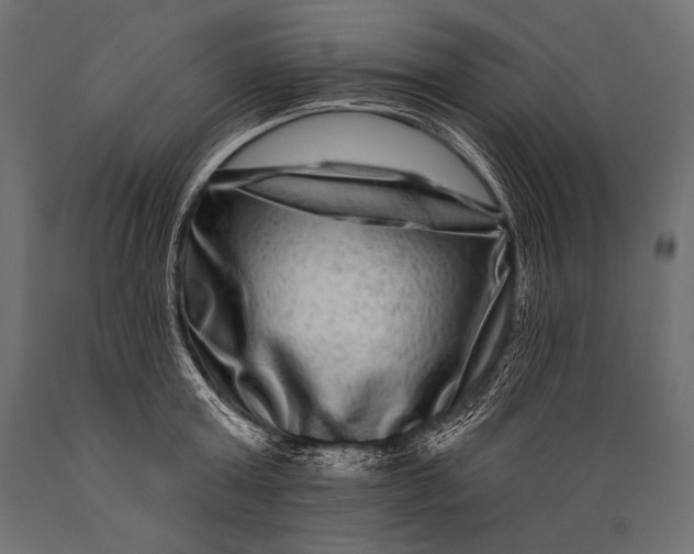 X0000088880803200706291602