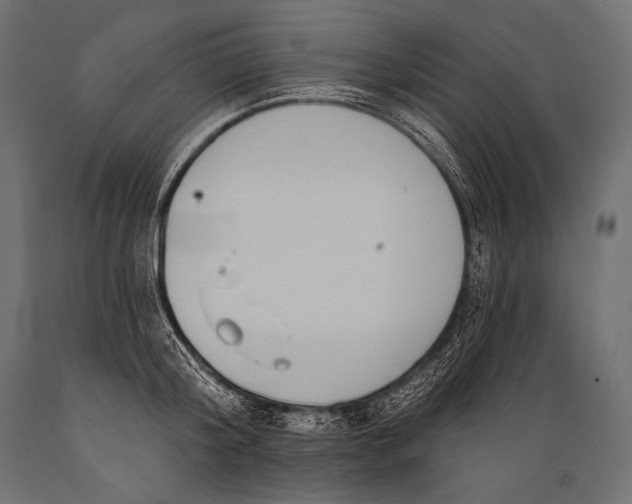 X0000088880804200706291602