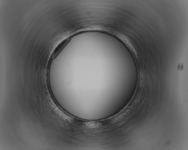 X0000088880805200706291602