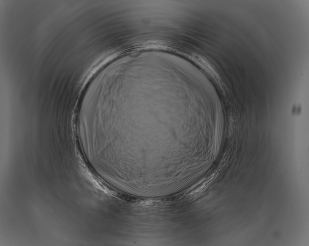 X0000088880806200706291602