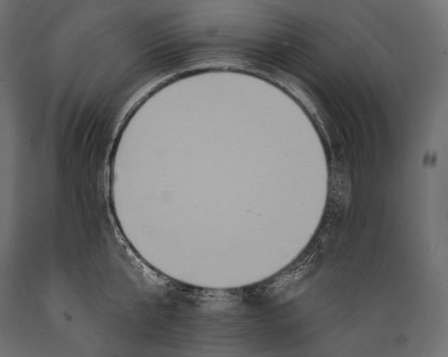 X0000088880807200706291602