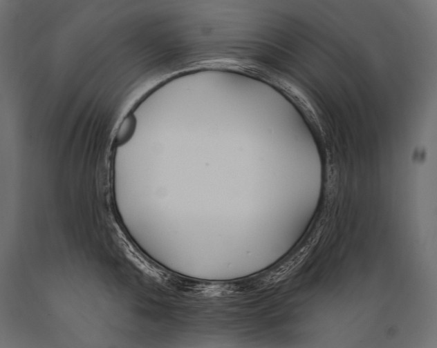 X0000088880808200706291602