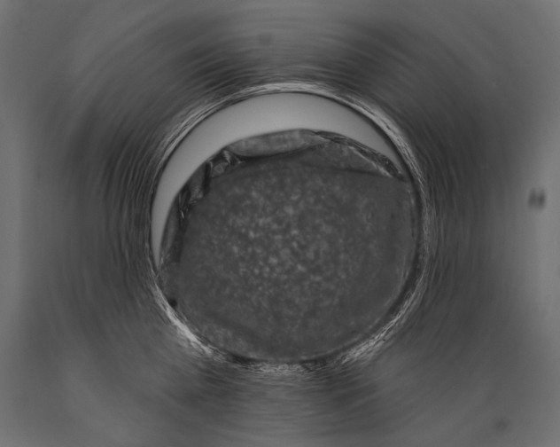 X0000088880809200706291602