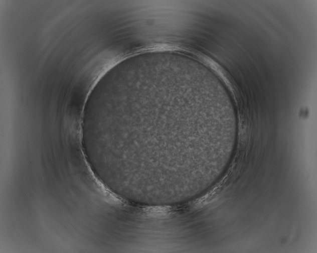 X0000088880810200706291602