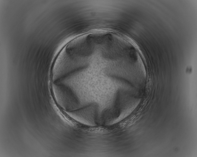 X0000088880811200706291602