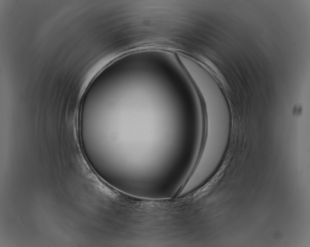 X0000088880812200706291602