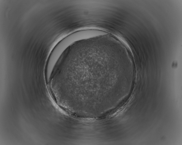 X0000088880813200706291602