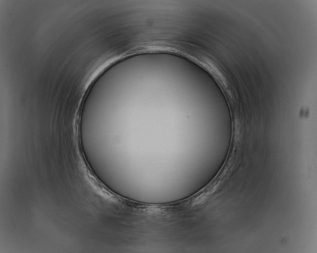 X0000088880814200706291602