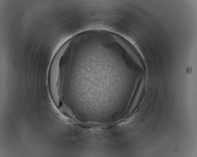 X0000088880815200706291602