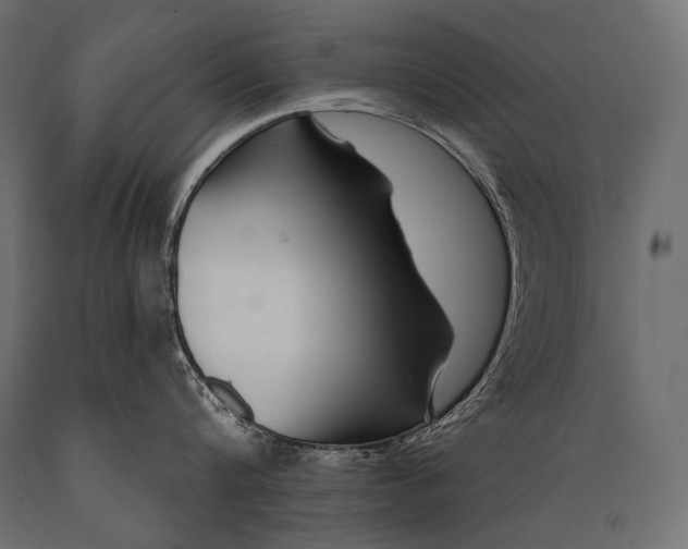 X0000088880816200706291602