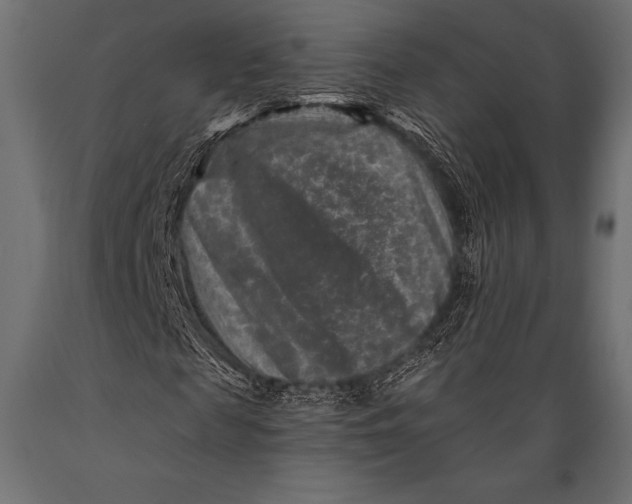 X0000088880817200706291601