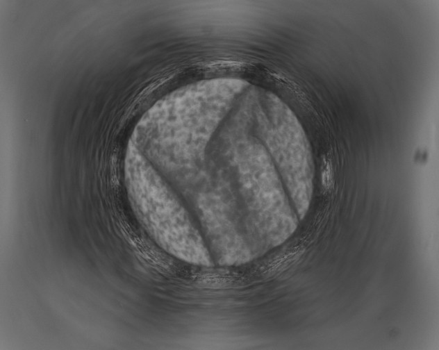 X0000088880819200706291601