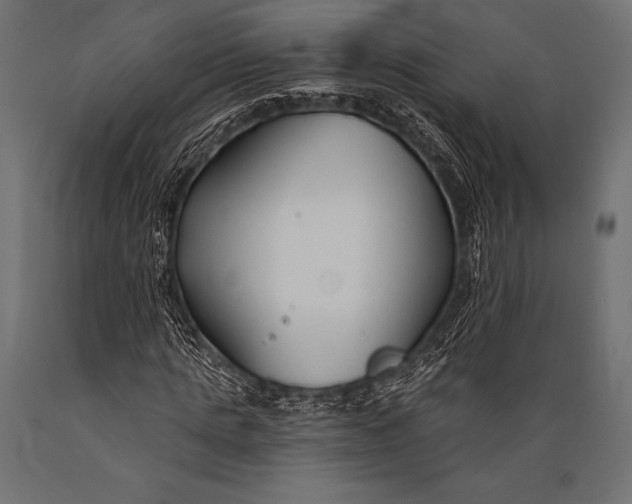 X0000088880821200706291601