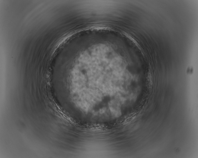 X0000088880823200706291601