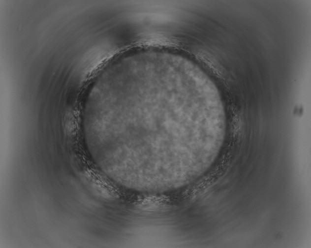 X0000088880824200706291601