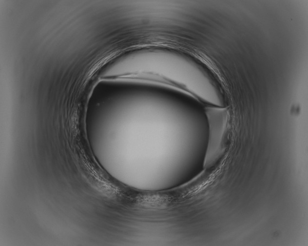 X0000088880826200706291601