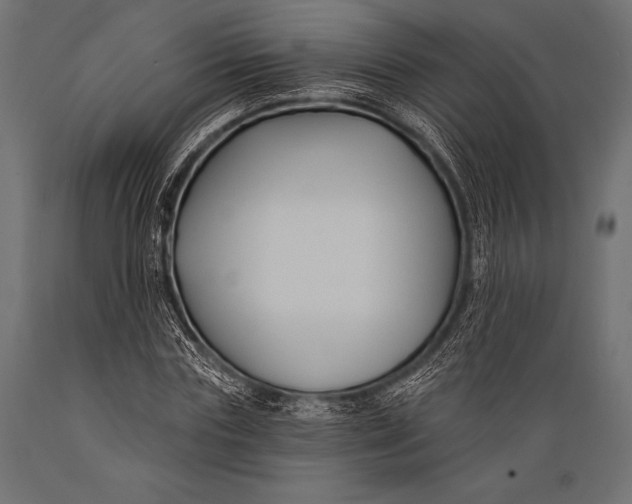 X0000088880827200706291601