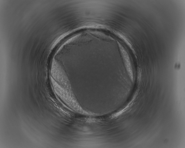 X0000088880829200706291601