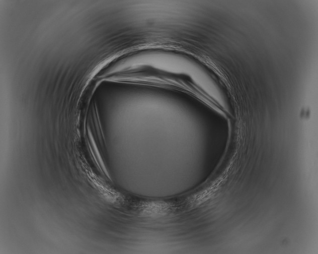 X0000088880830200706291601