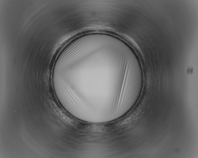 X0000088880831200706291601