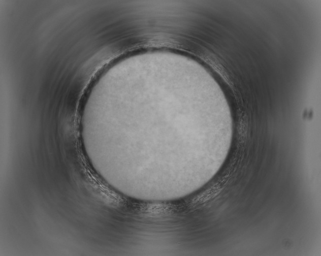 X0000088880832200706291601