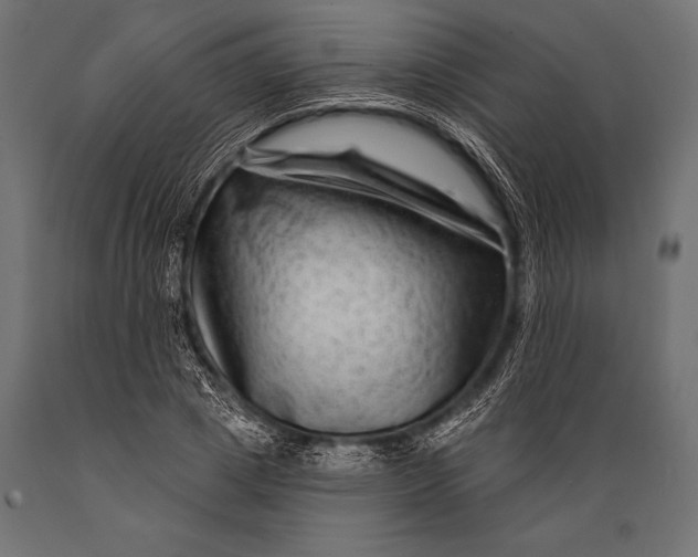 X0000088880833200706291601