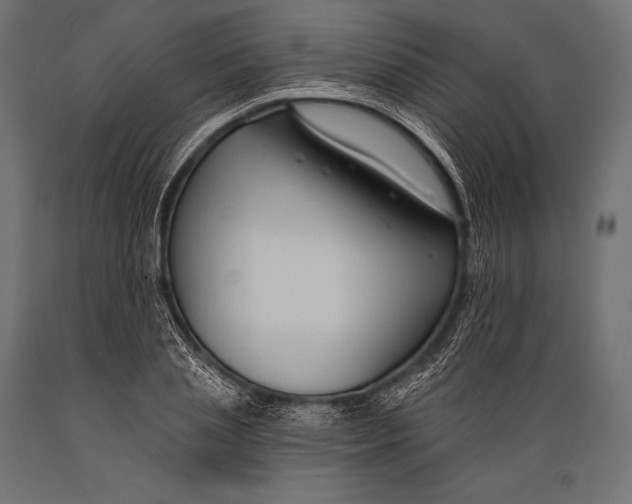 X0000088880837200706291601