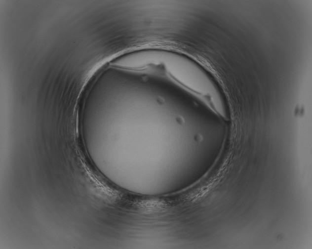 X0000088880838200706291601