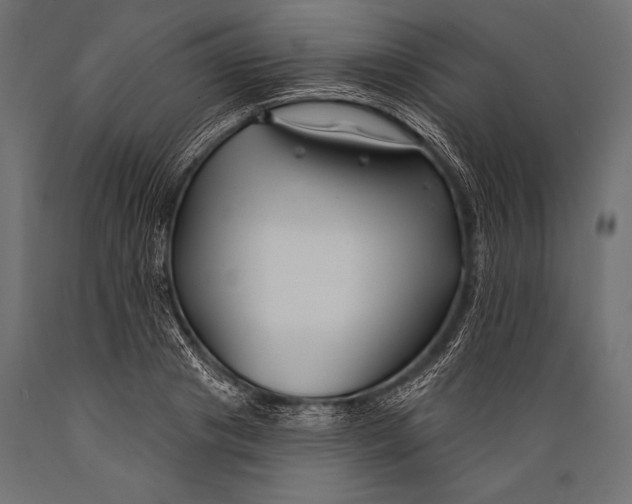 X0000088880841200706291601